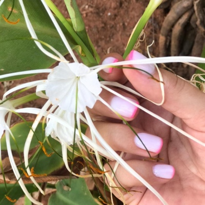 Маникюр, педикюр, депиляция, чистка лица.