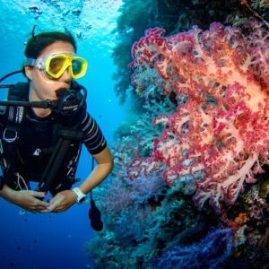 Дайвинг + Снорклинг