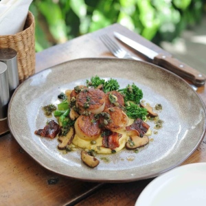 Пан-жареные гребешки